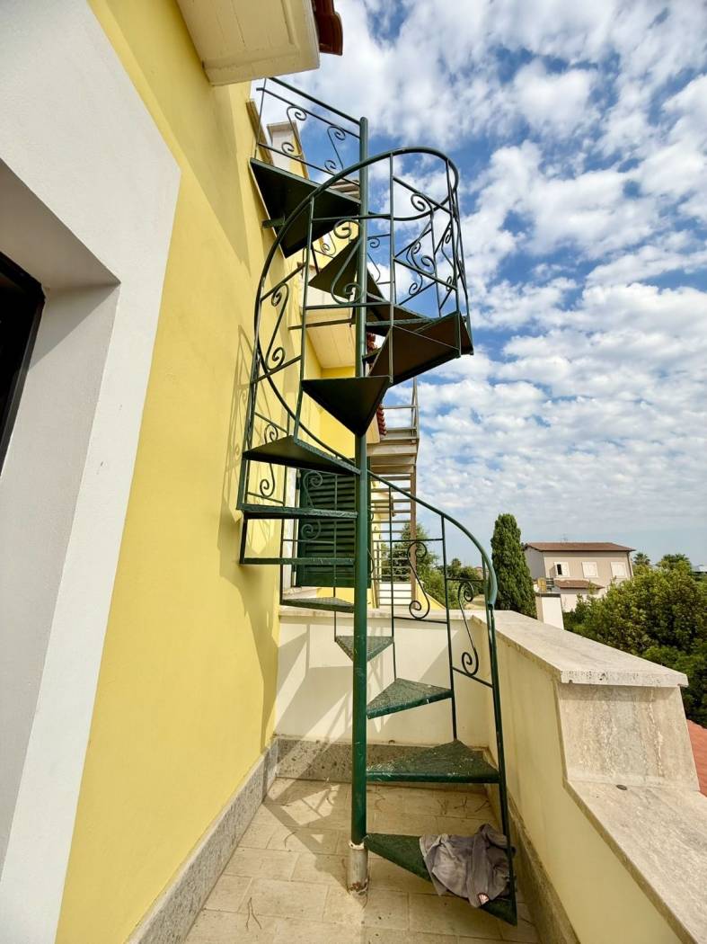 Dettagli