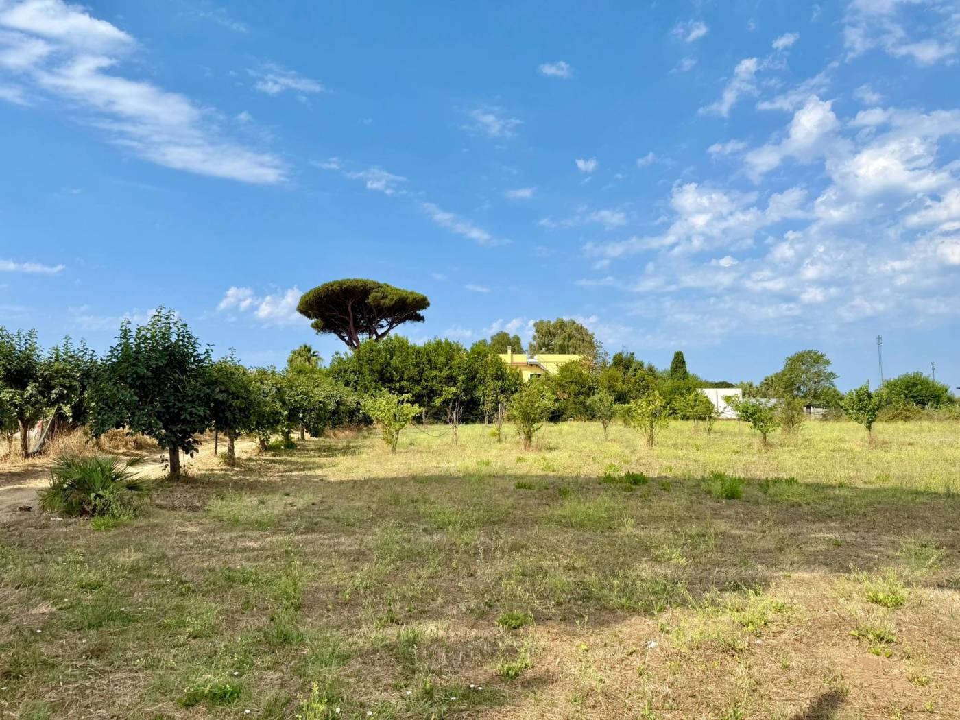 Terreno