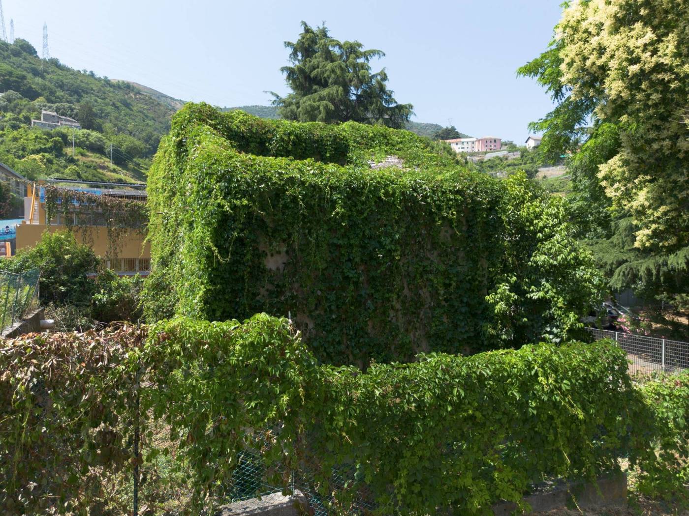 Vista