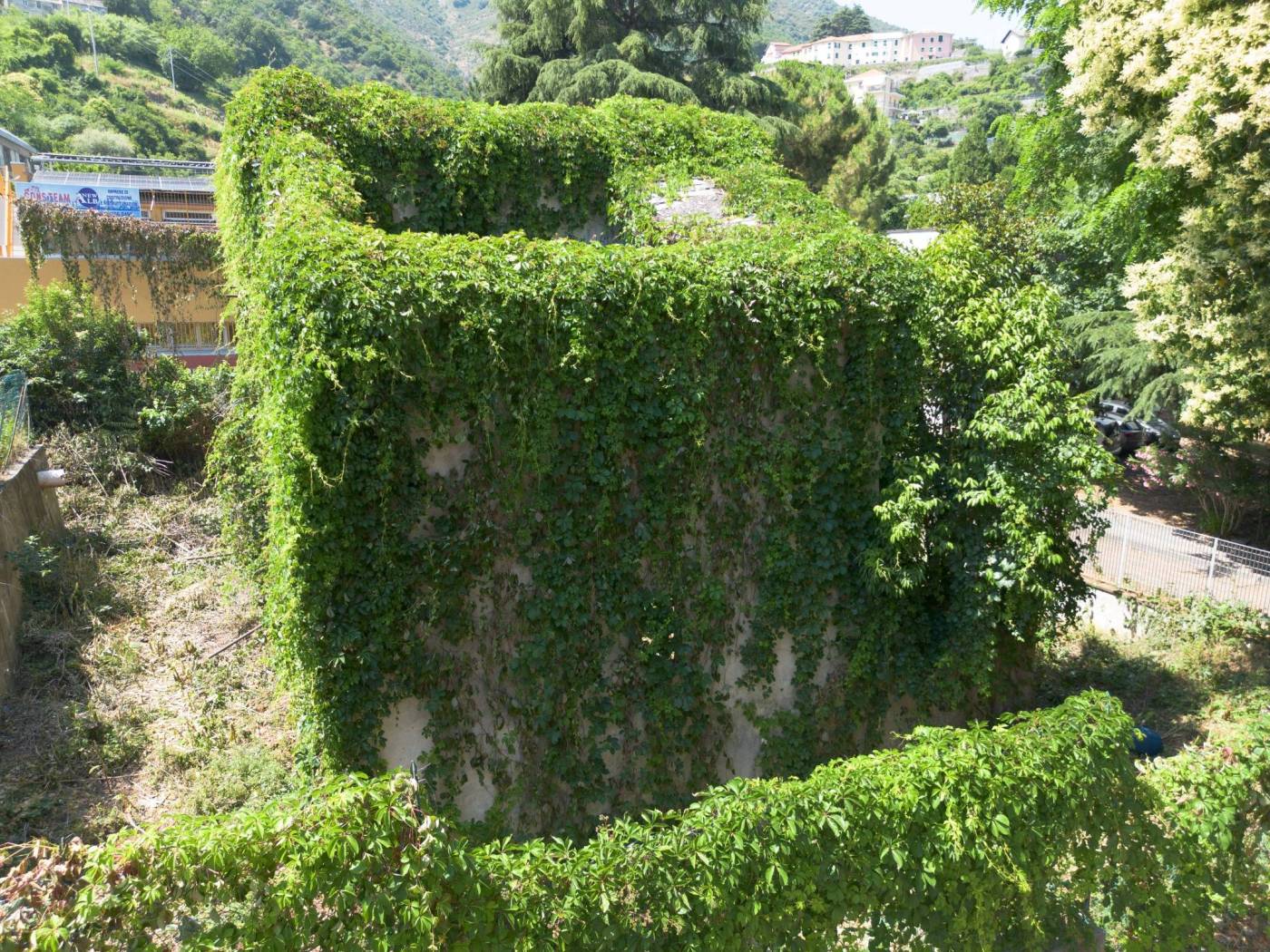 Vista