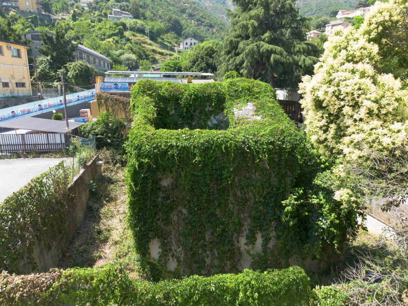 Vista