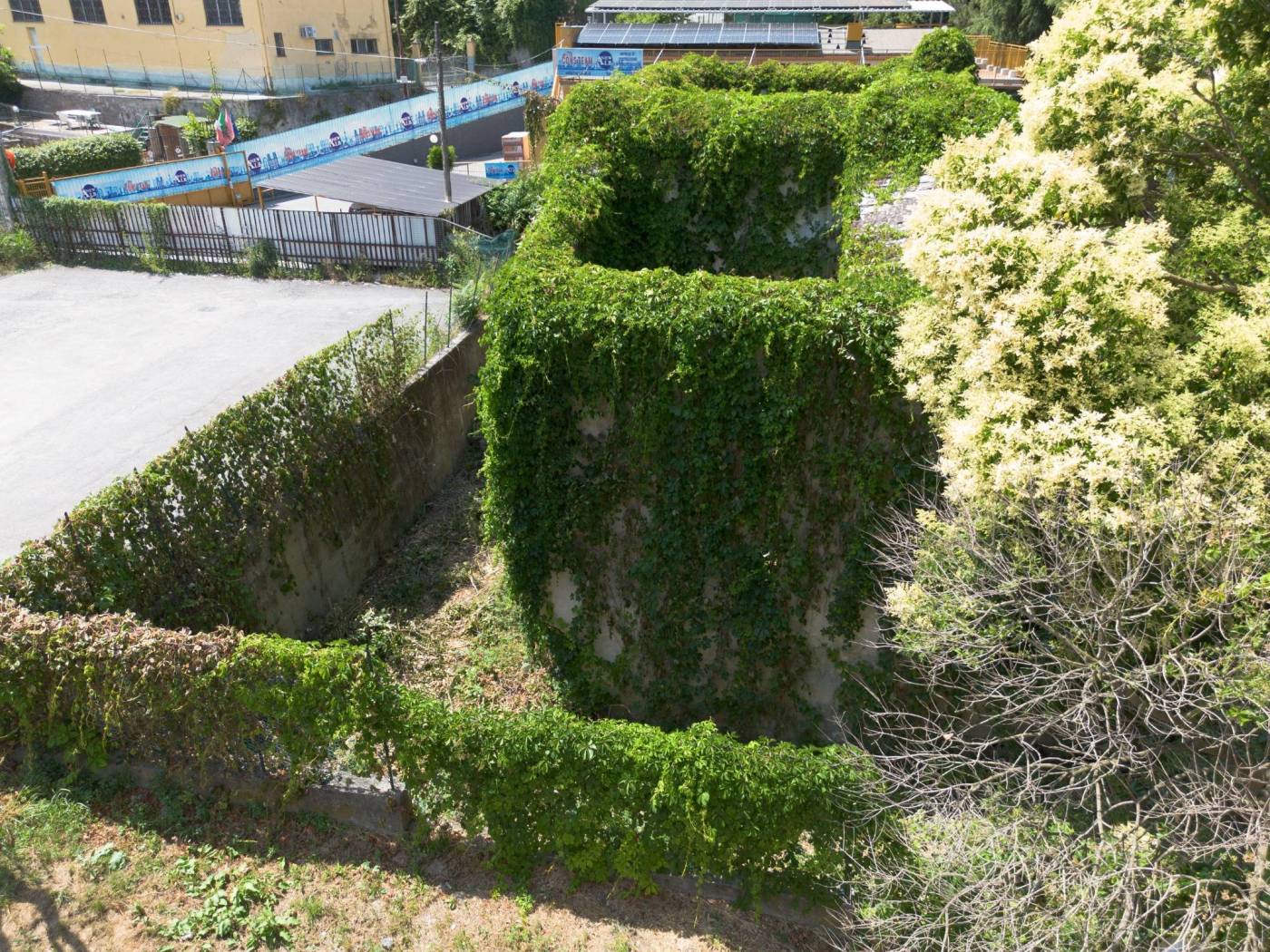Vista
