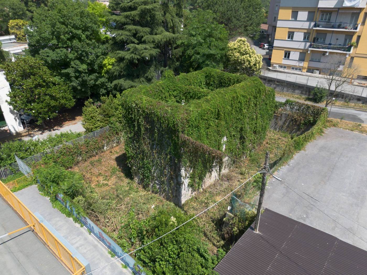 Vista