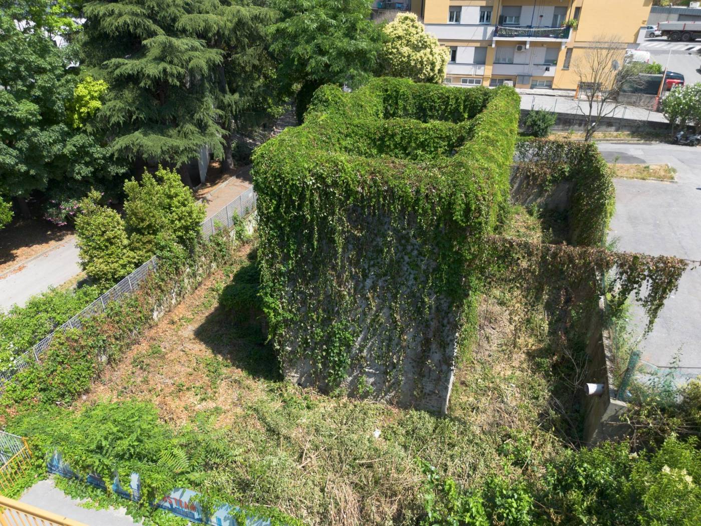 Vista