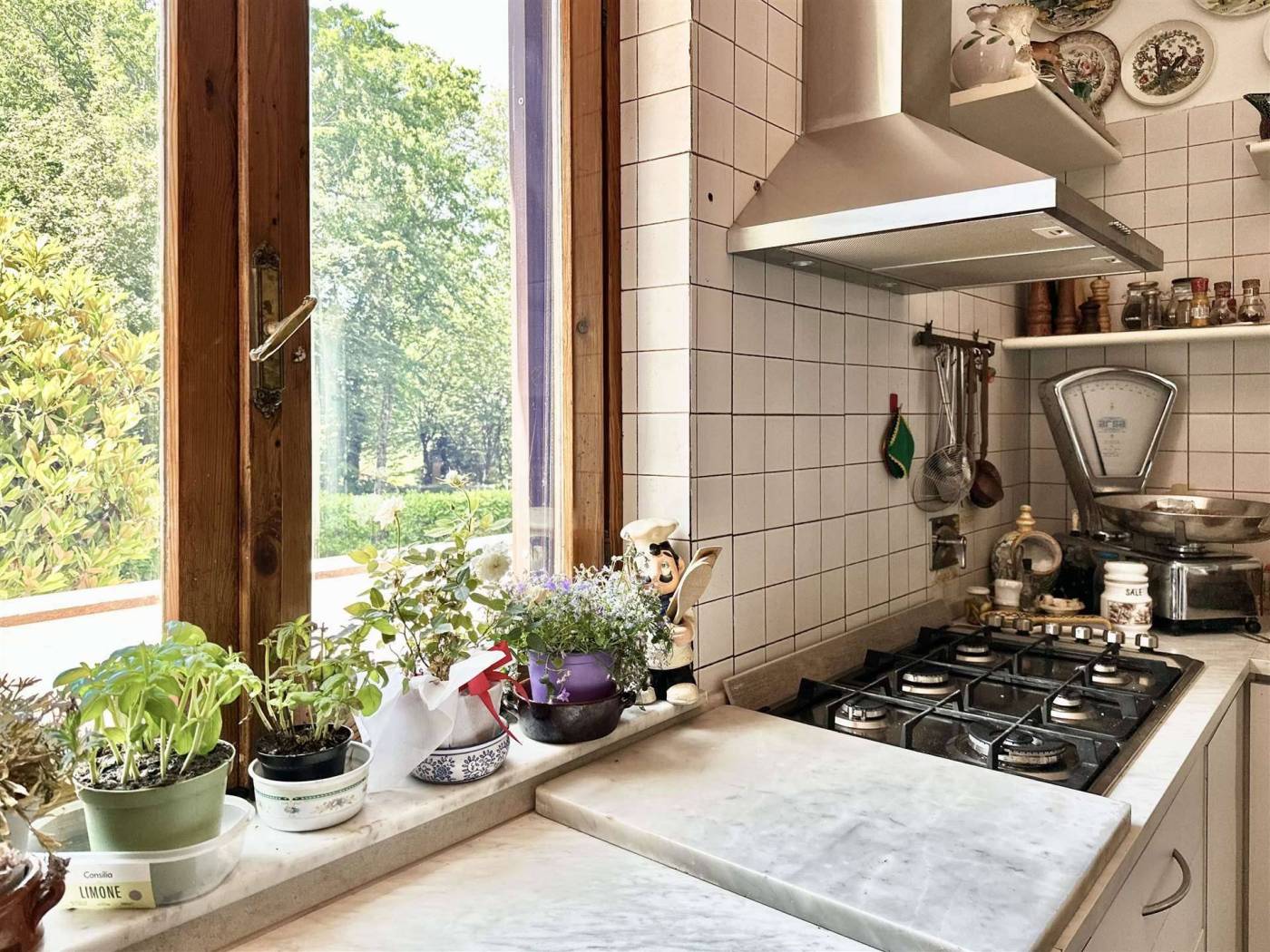 Cucina