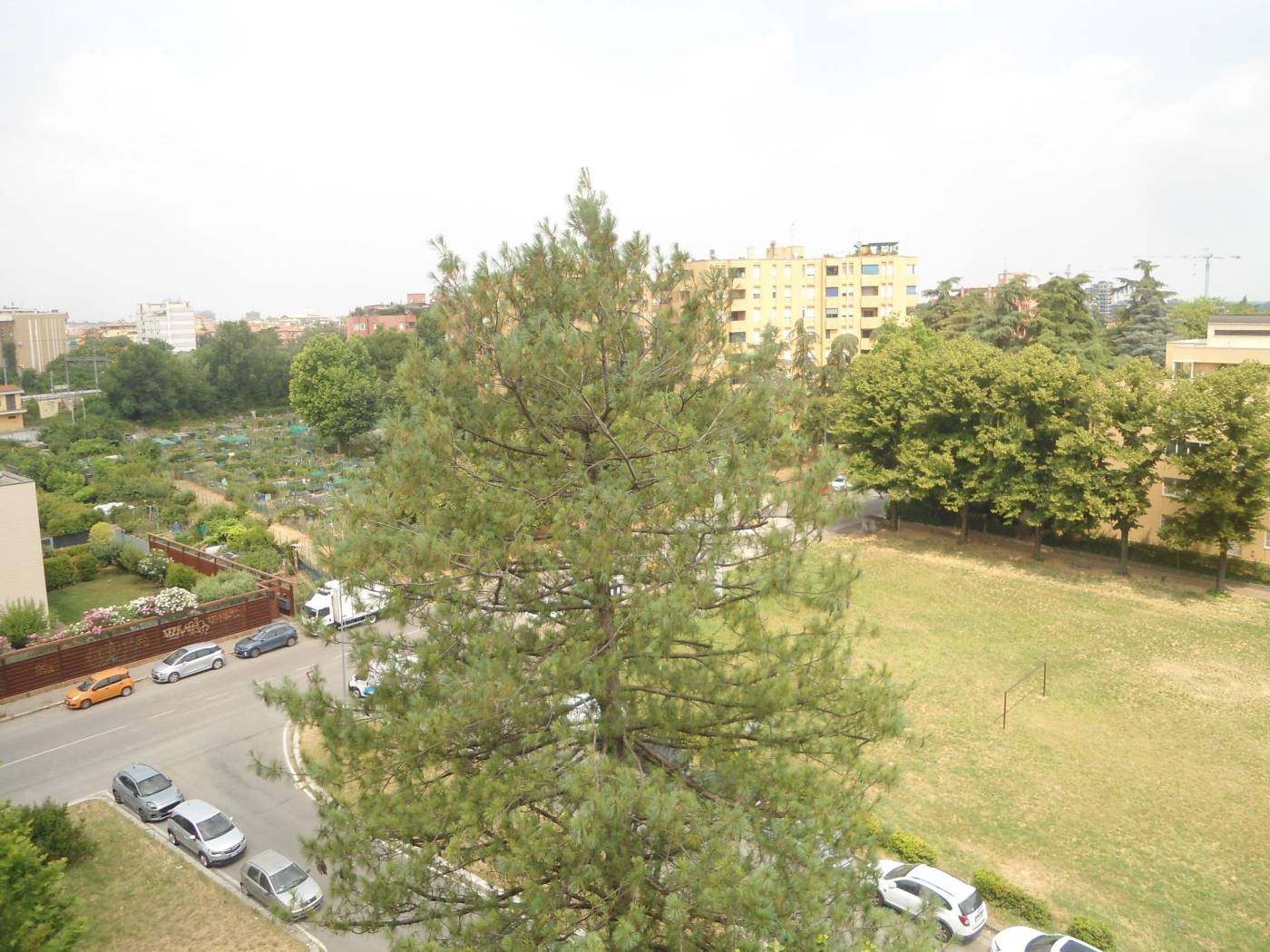 Vista