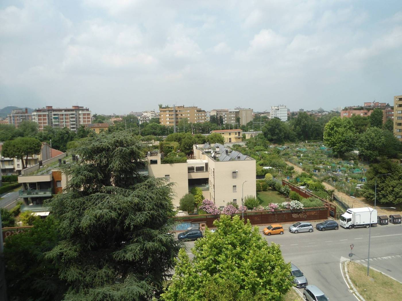 Vista