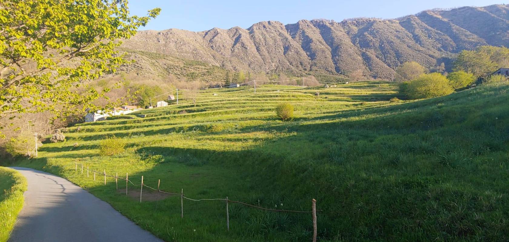 Terreno