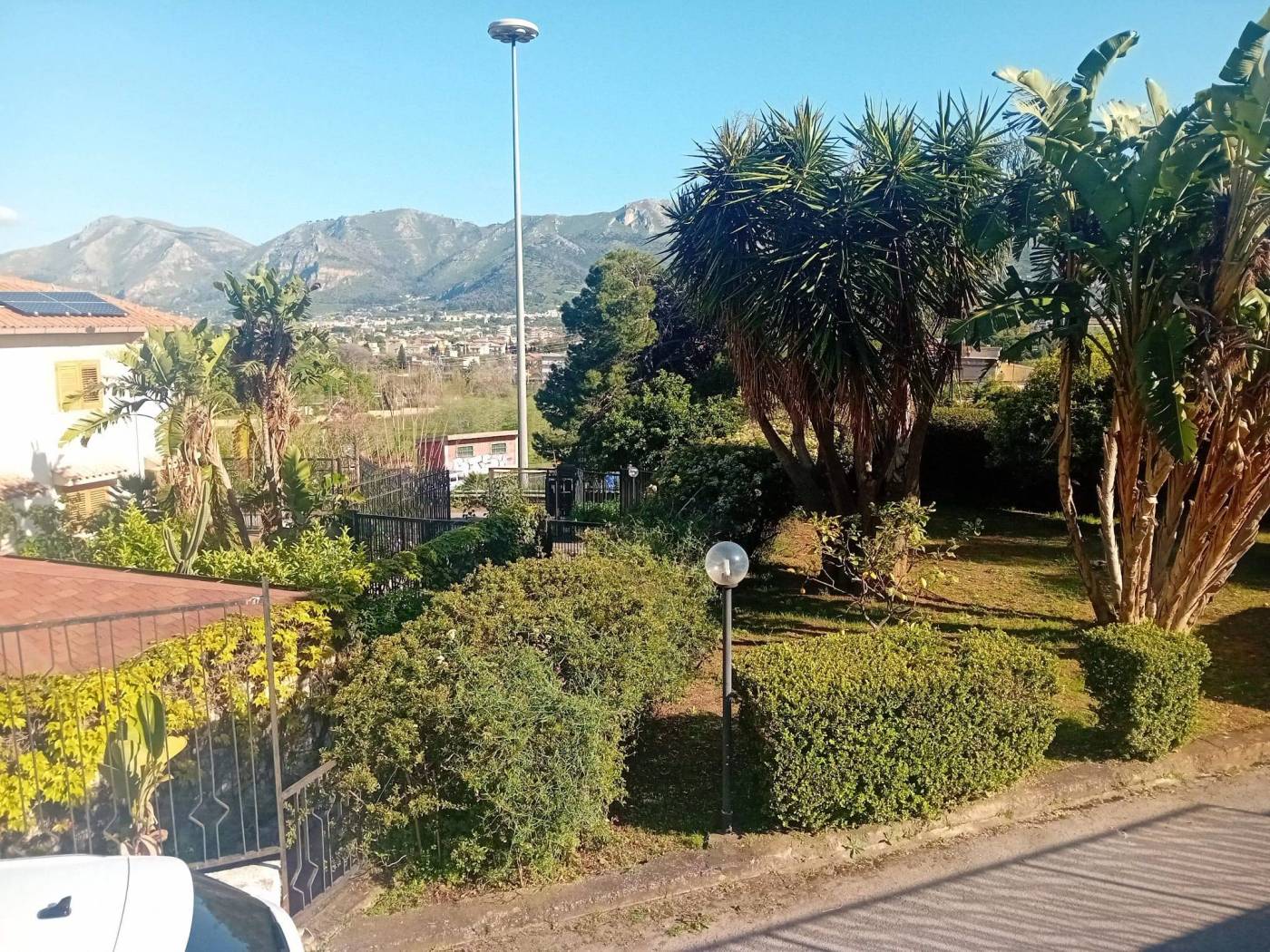 Vista