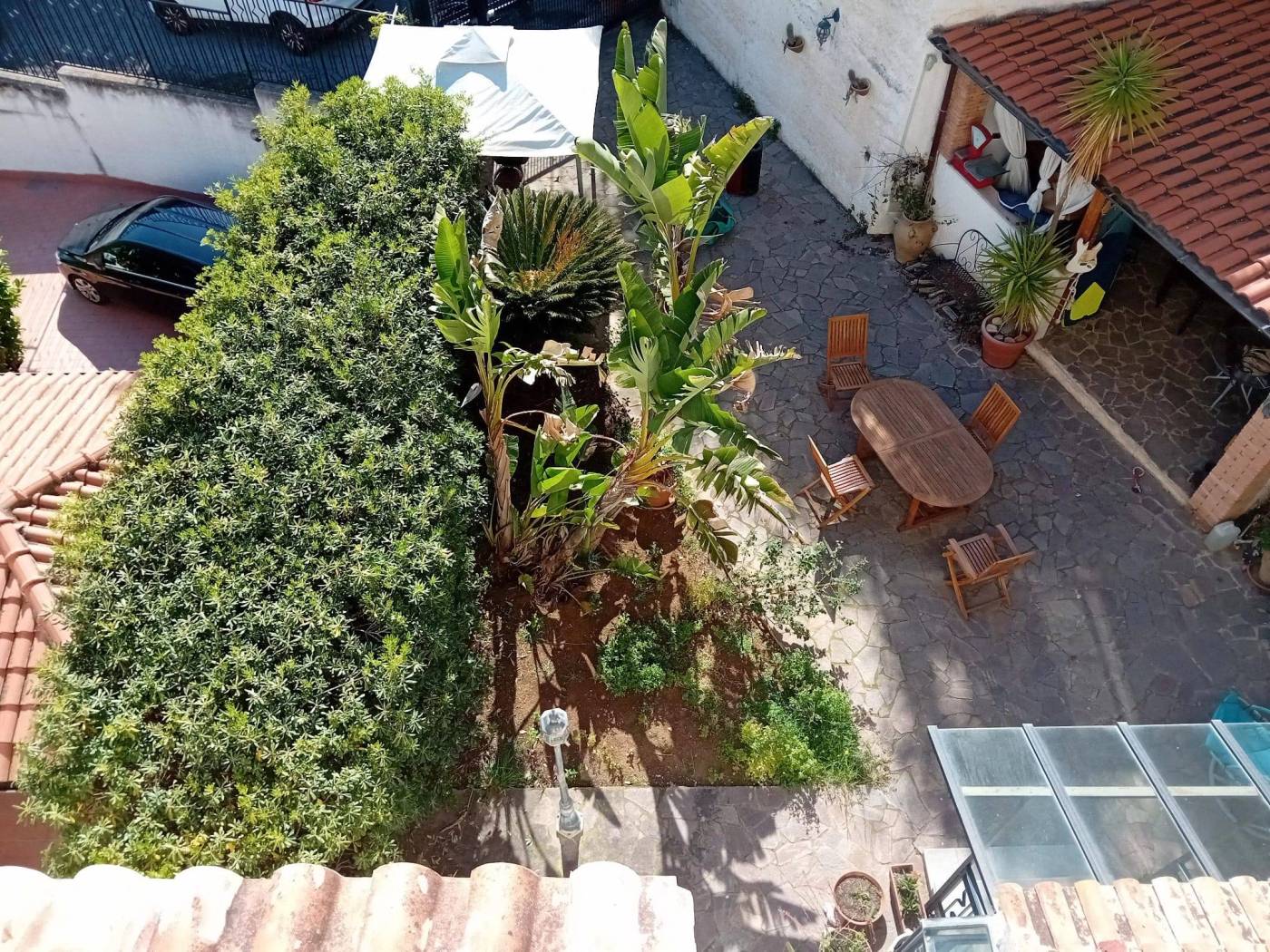 Giardino