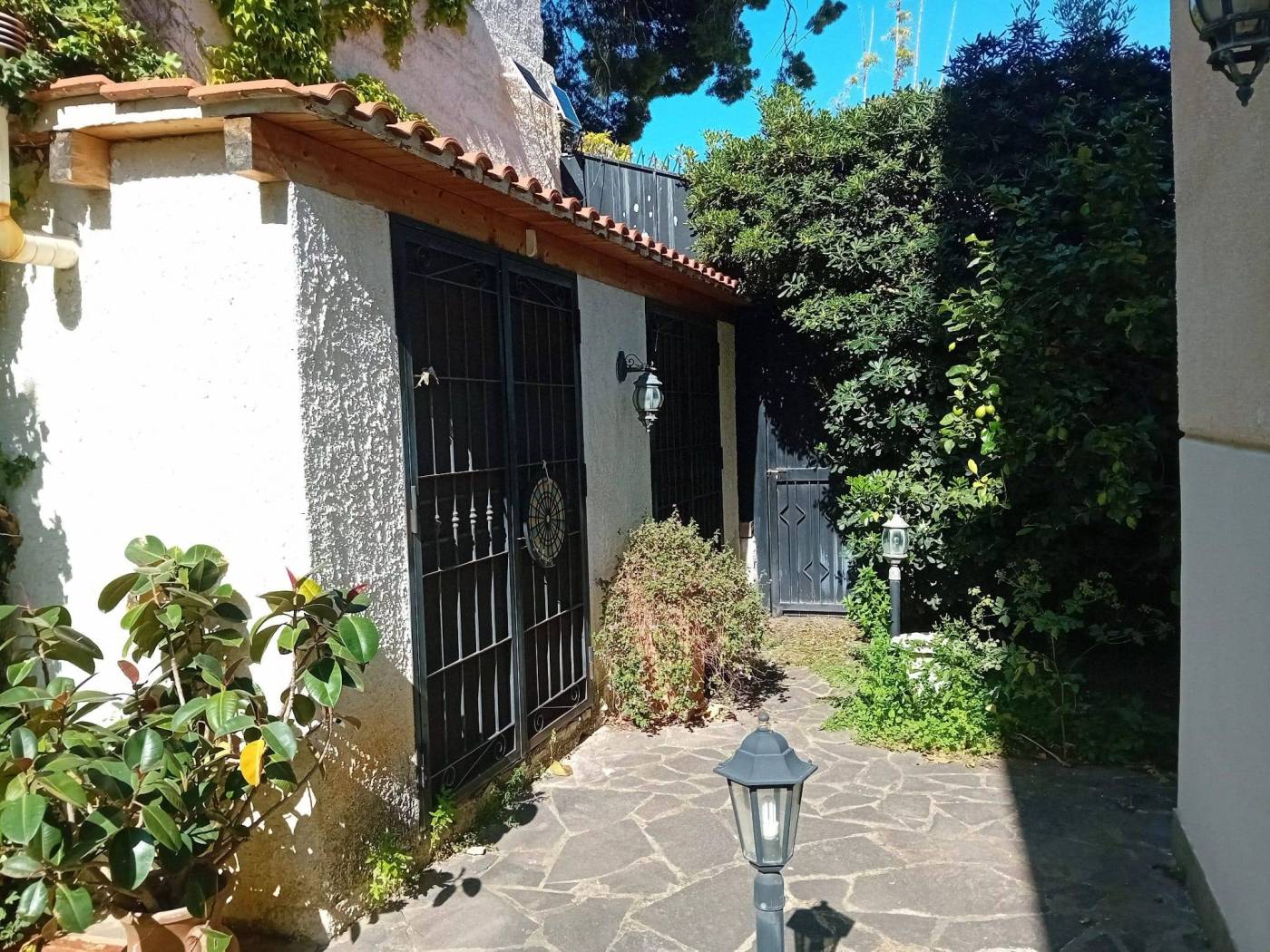 Ingresso