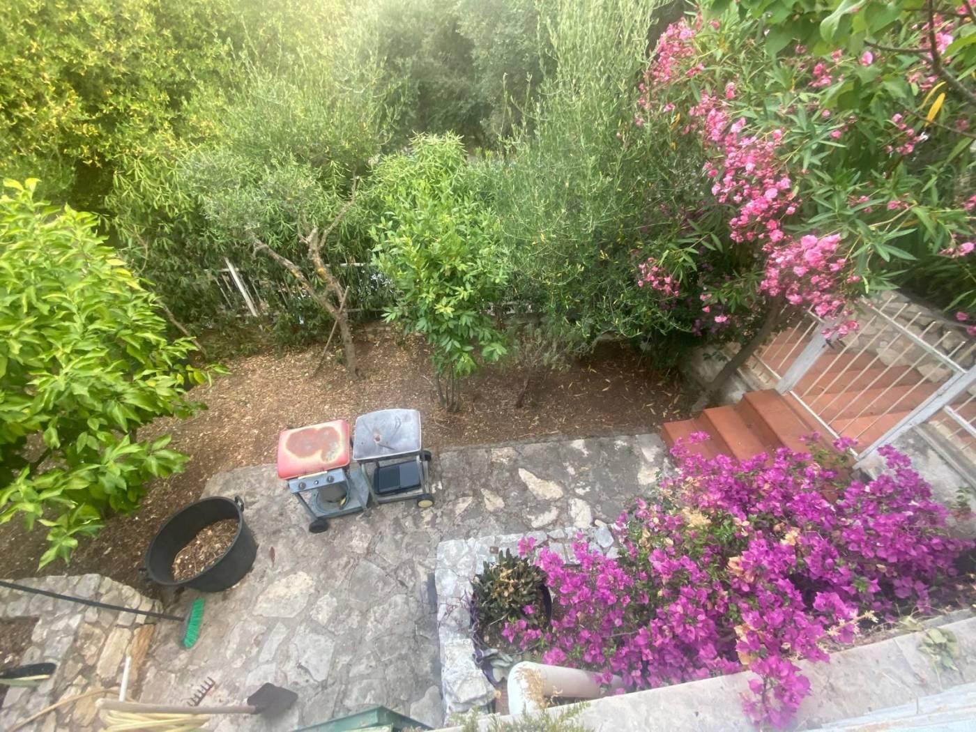 Giardino