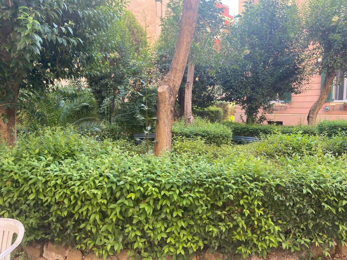 Giardino
