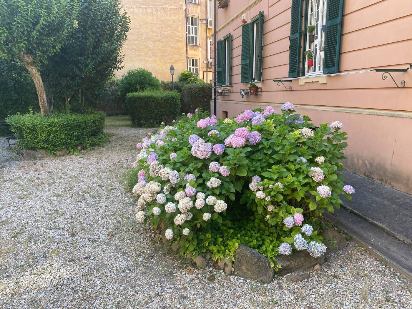 Giardino