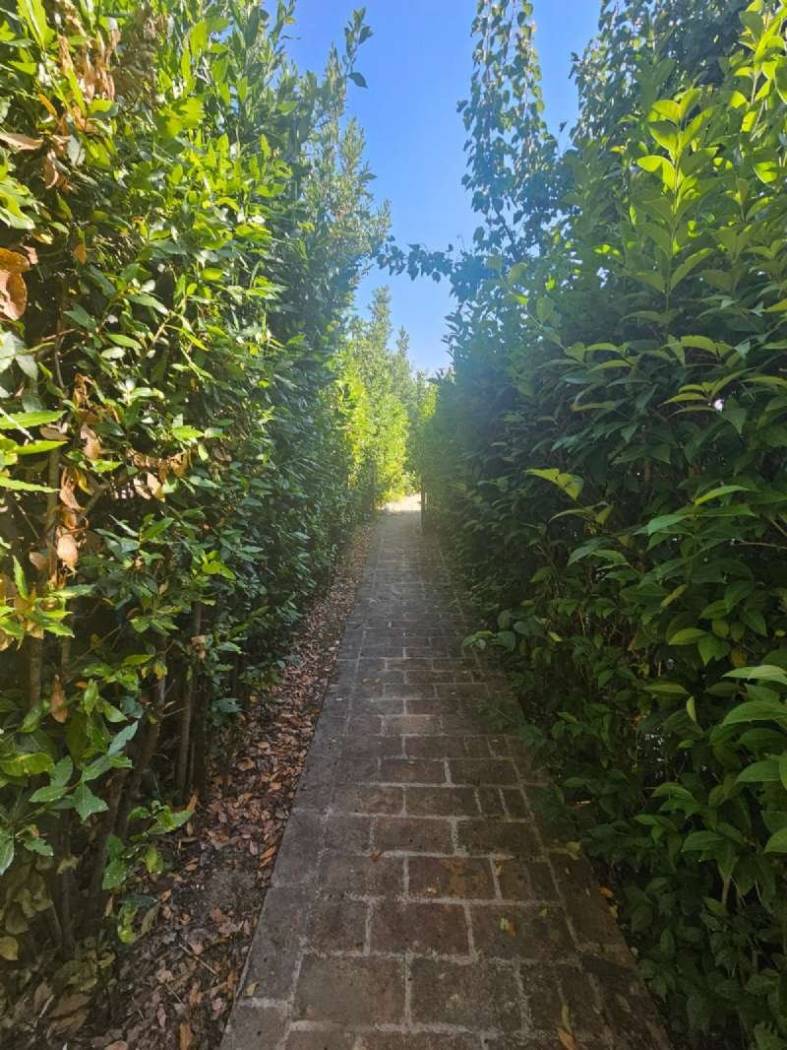 Giardino