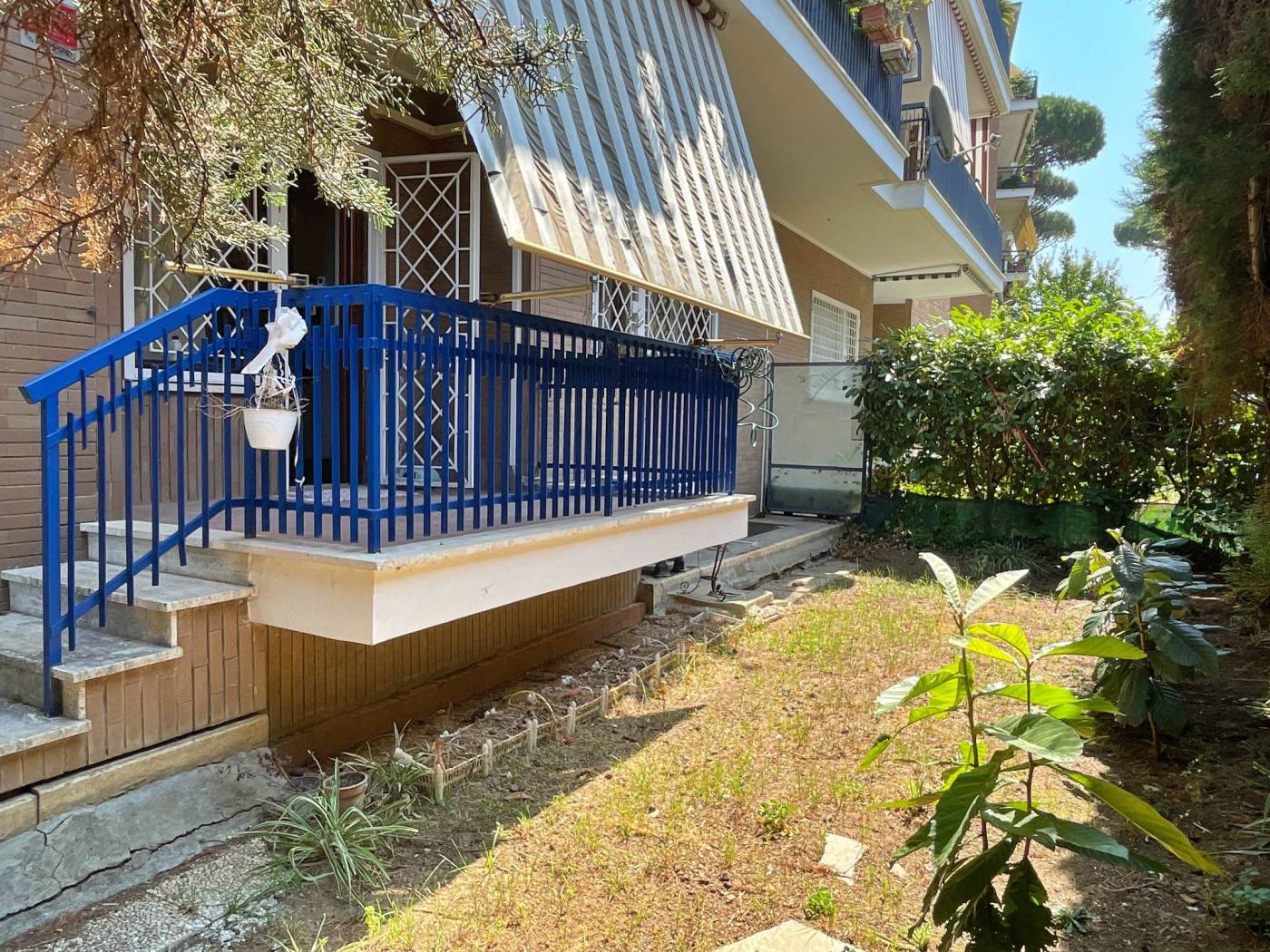Giardino