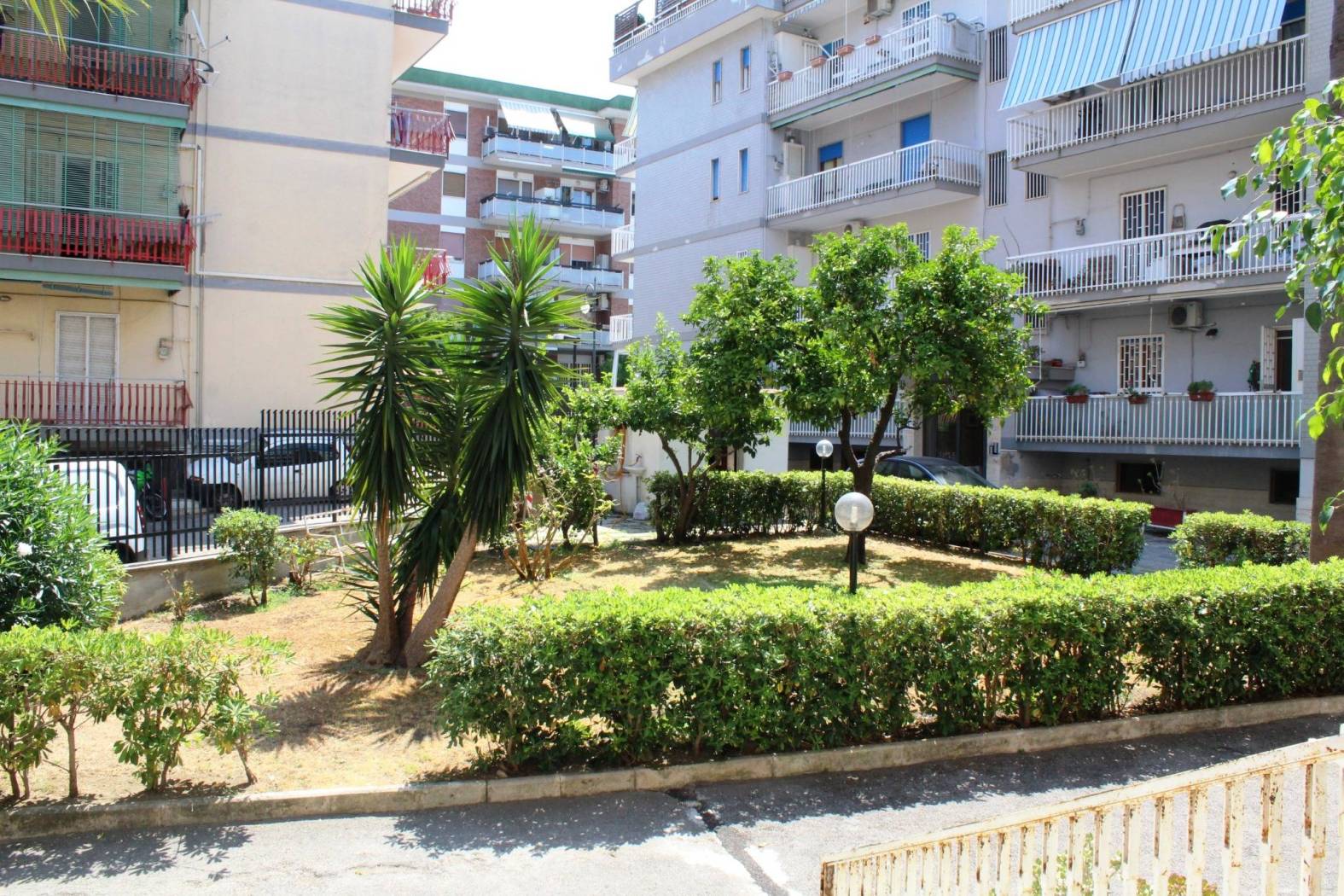 Giardino