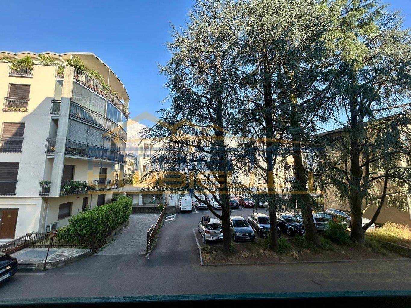 Vista