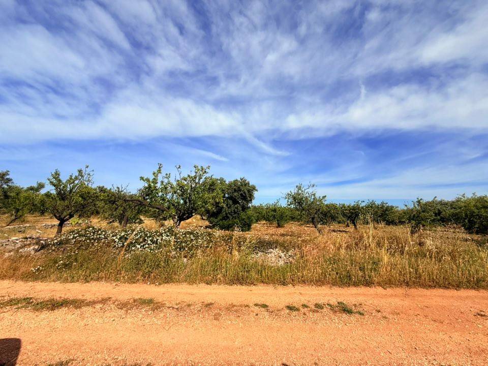 Terreno