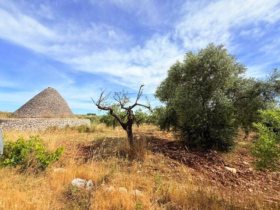 Terreno