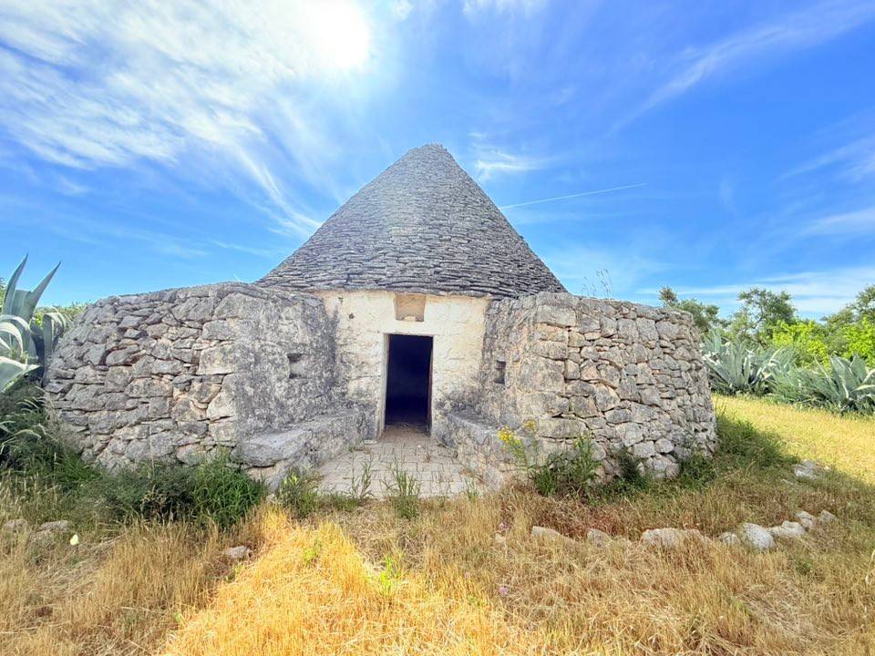 Terreno