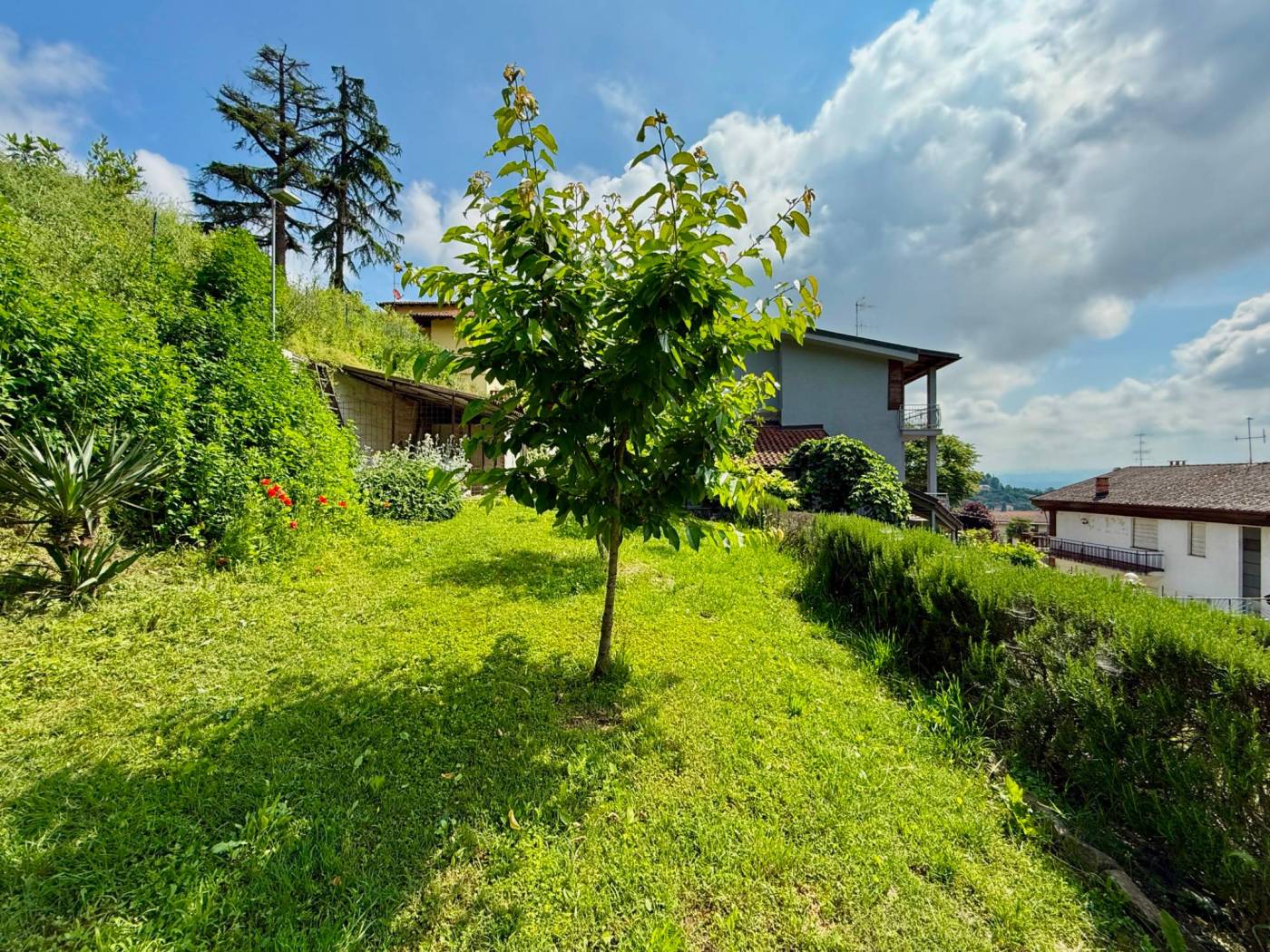 Terreno