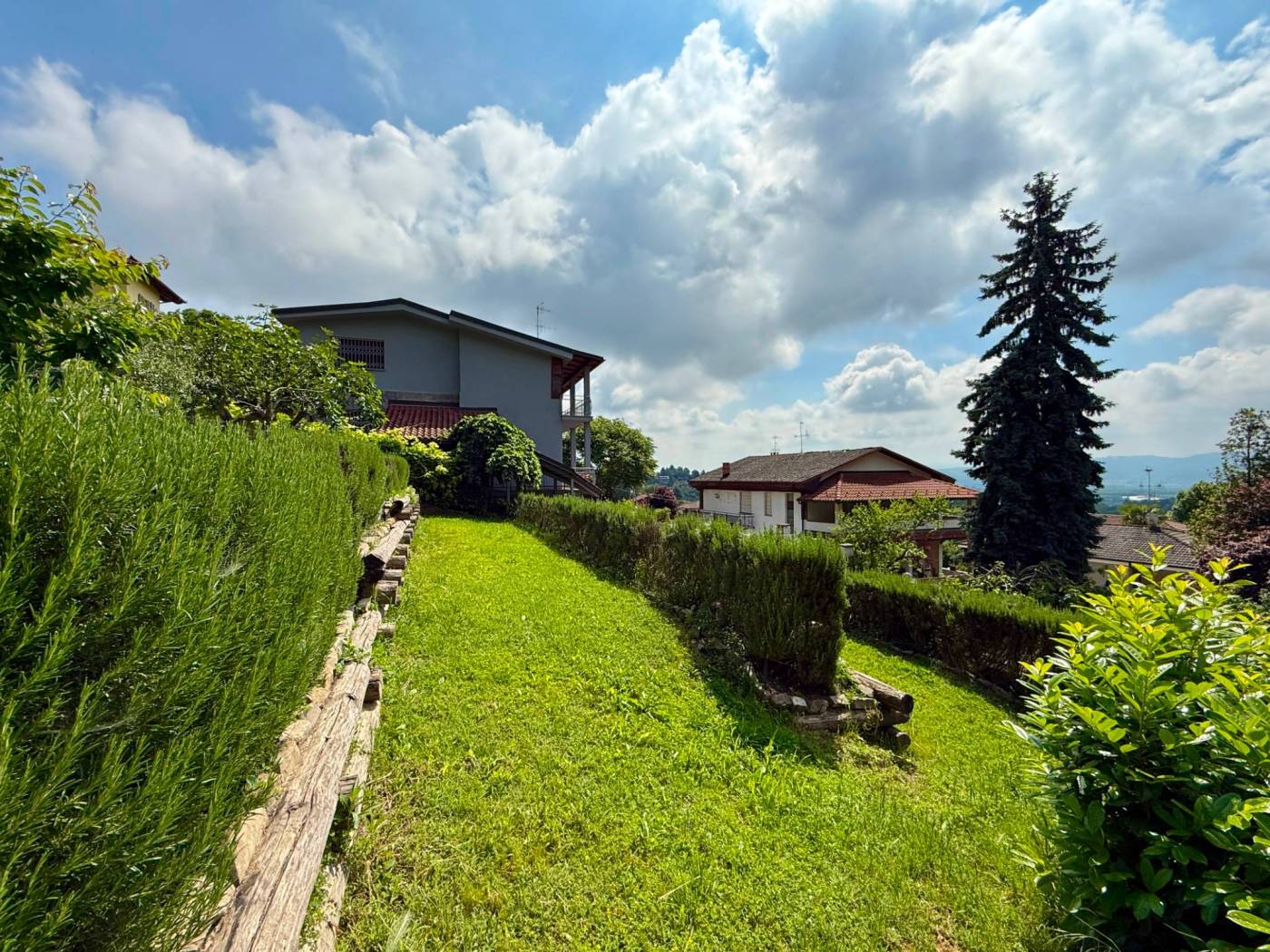 Giardino