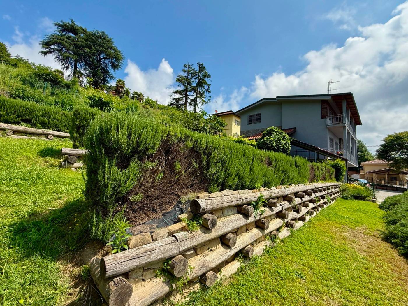 Terreno