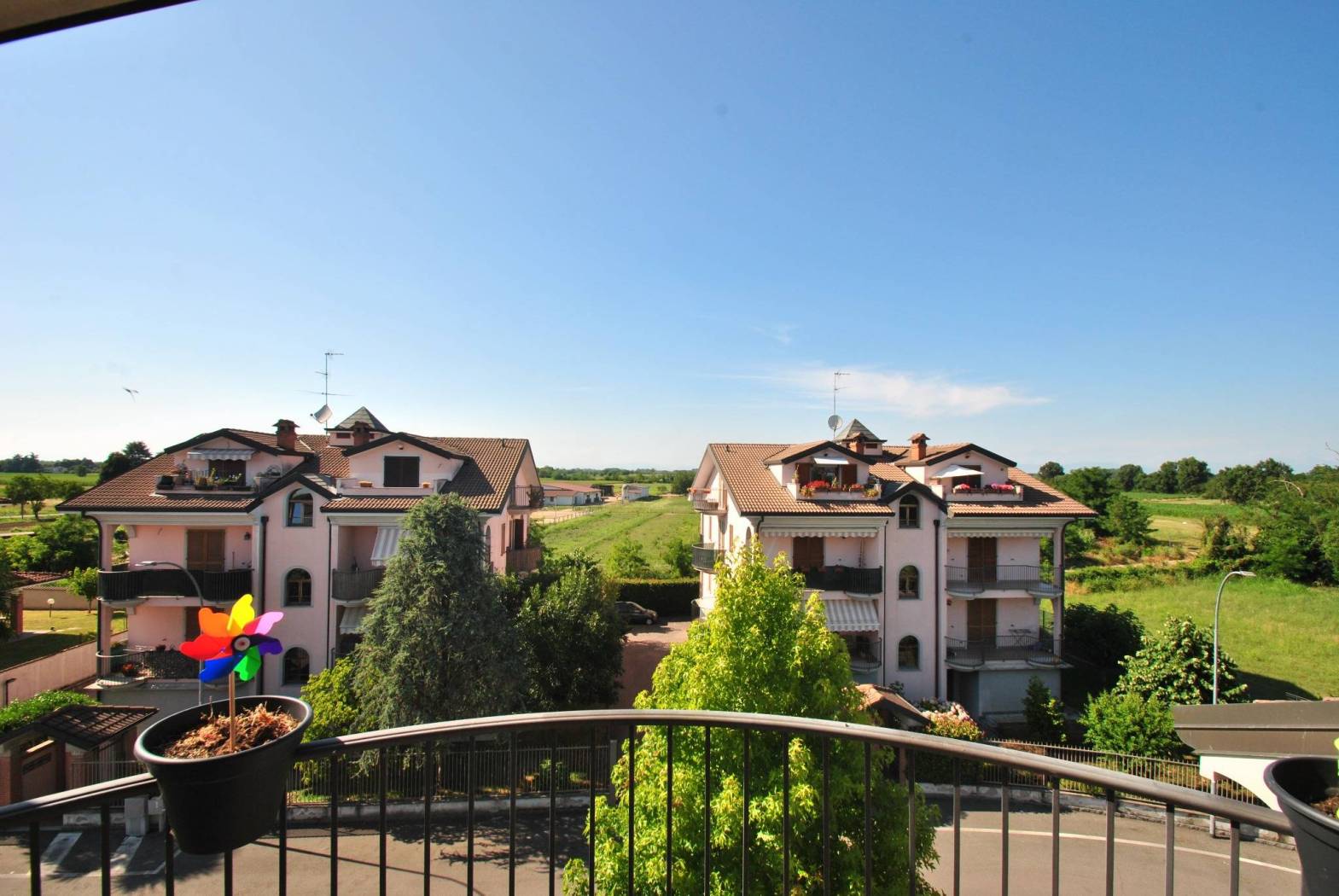 Vista