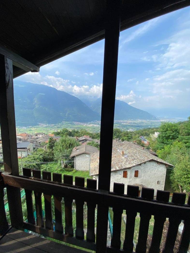 Vista