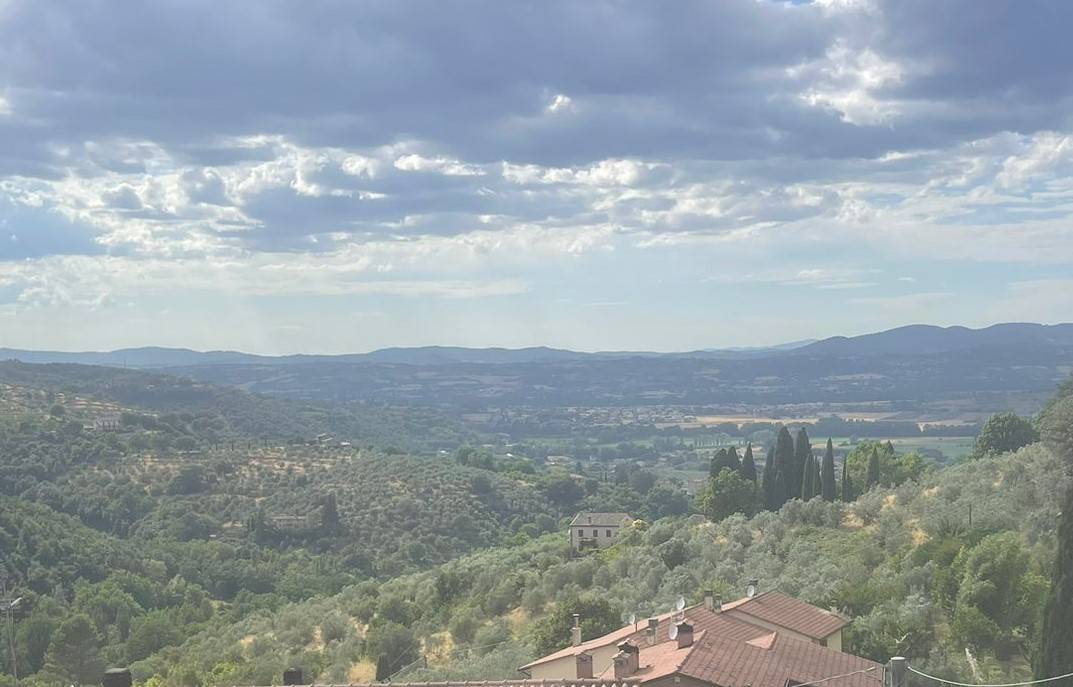 Vista