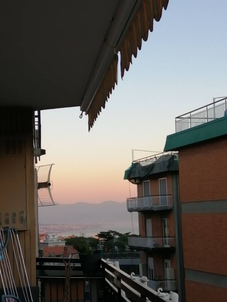 Vista