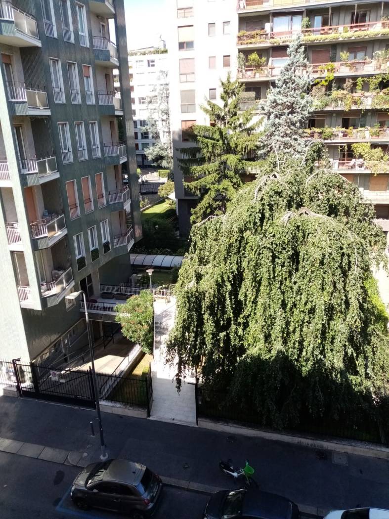 Vista