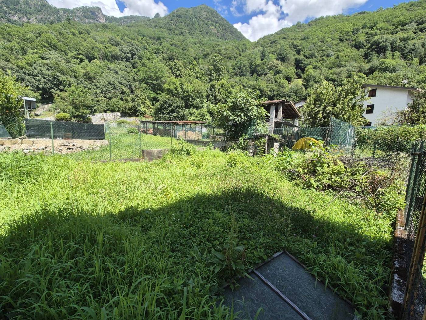 Terreno