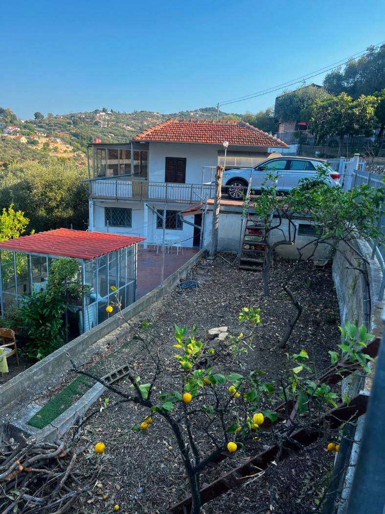 Terreno