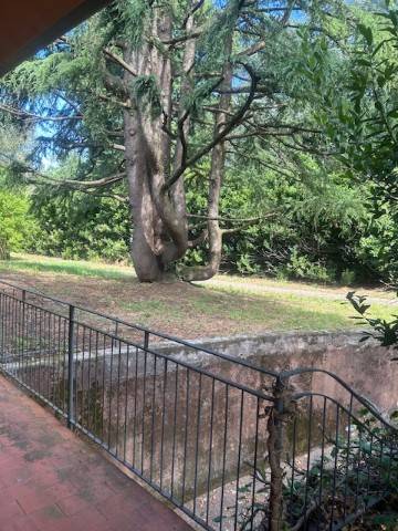 Giardino Giardino