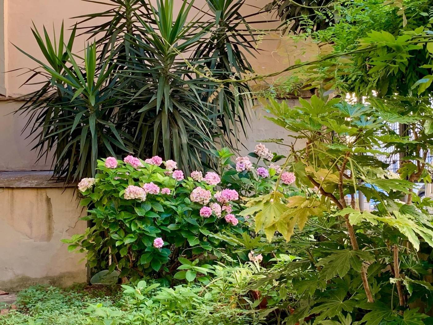 Giardino