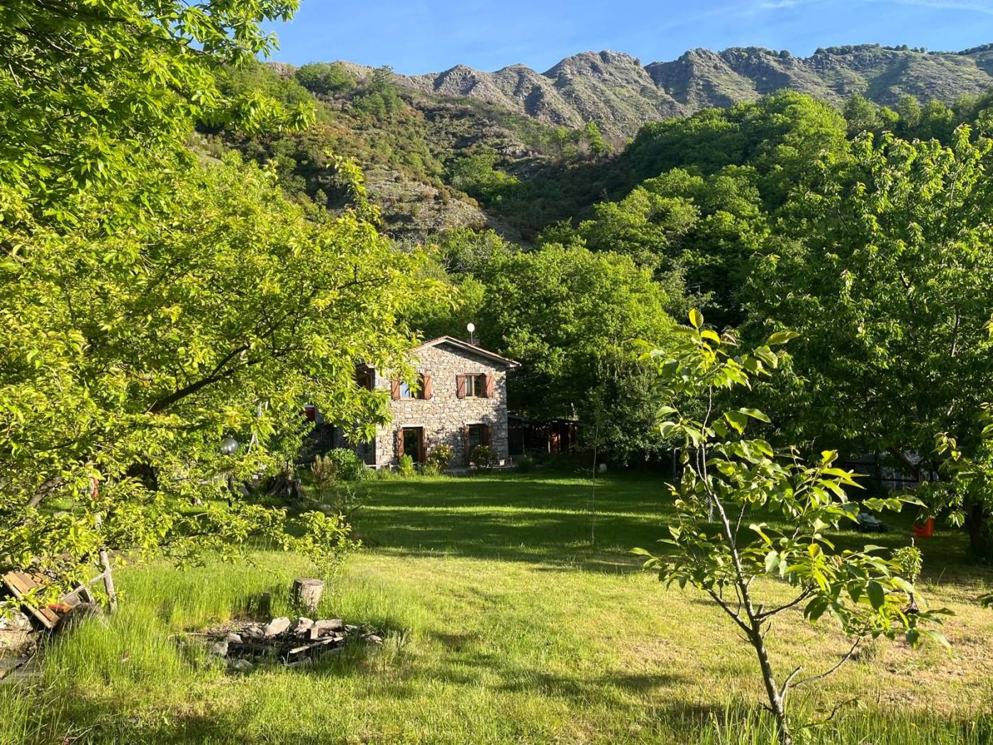 Terreno