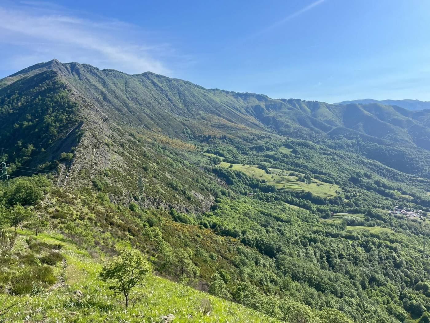 Terreno