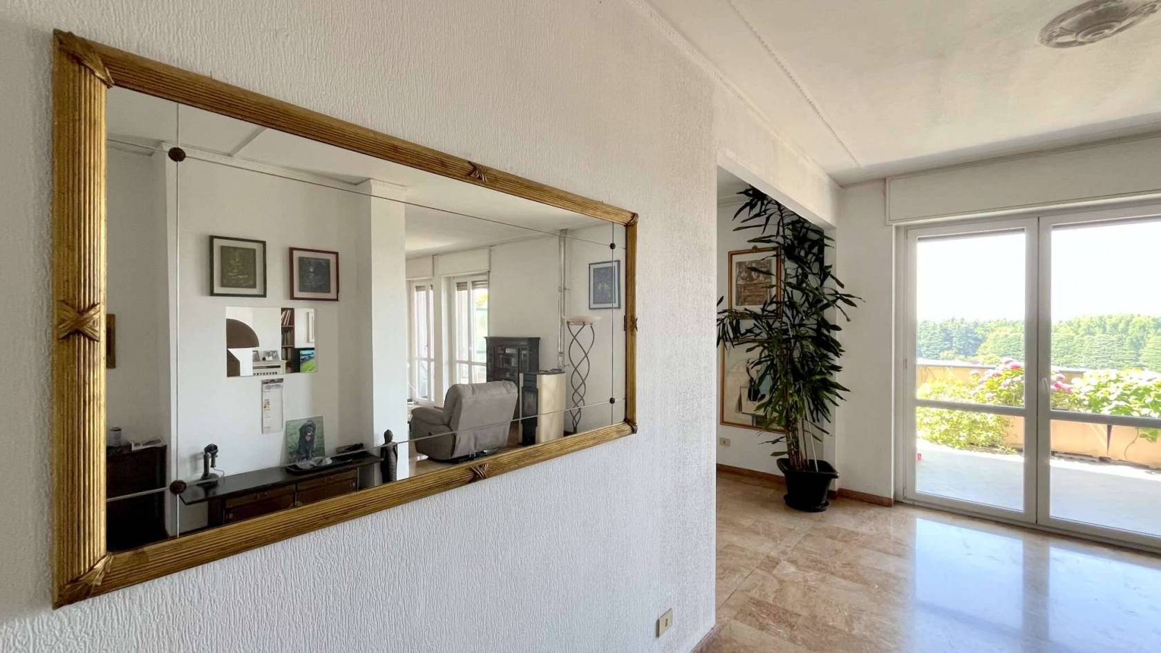Ingresso