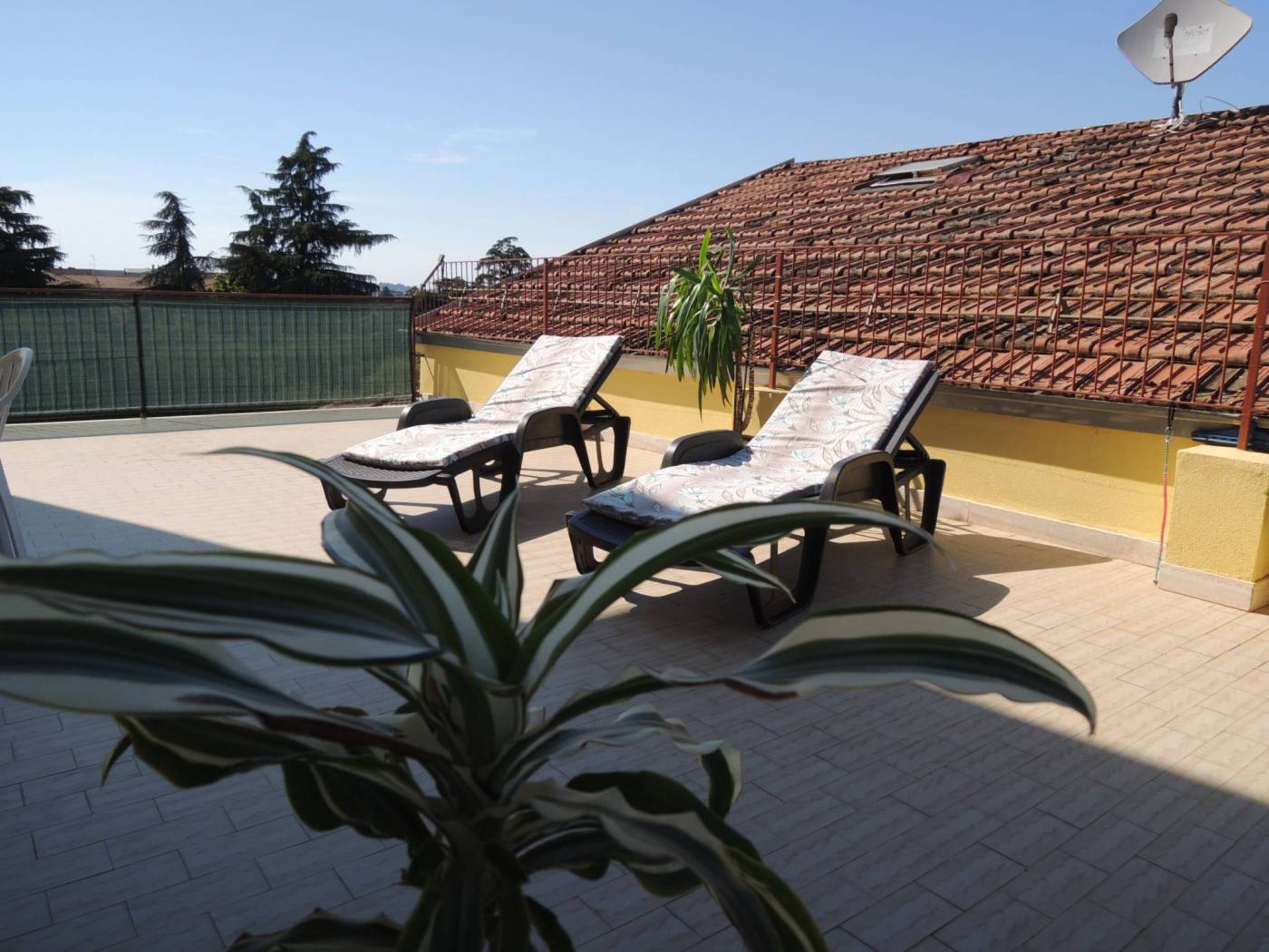 Terrazzo