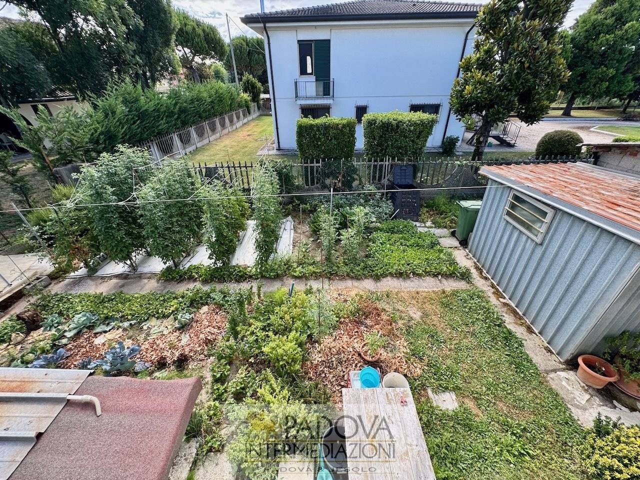 Giardino