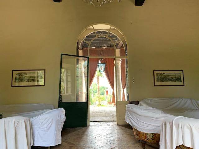 Salone