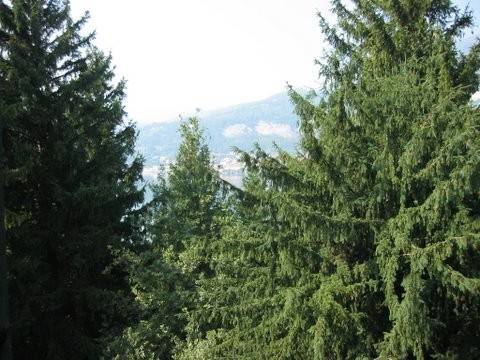 Vista