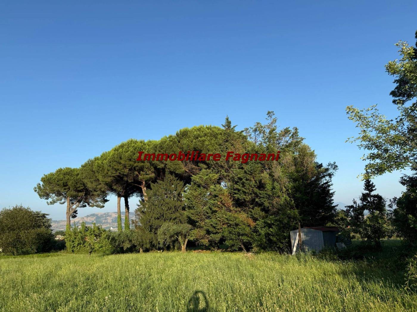 Terreno