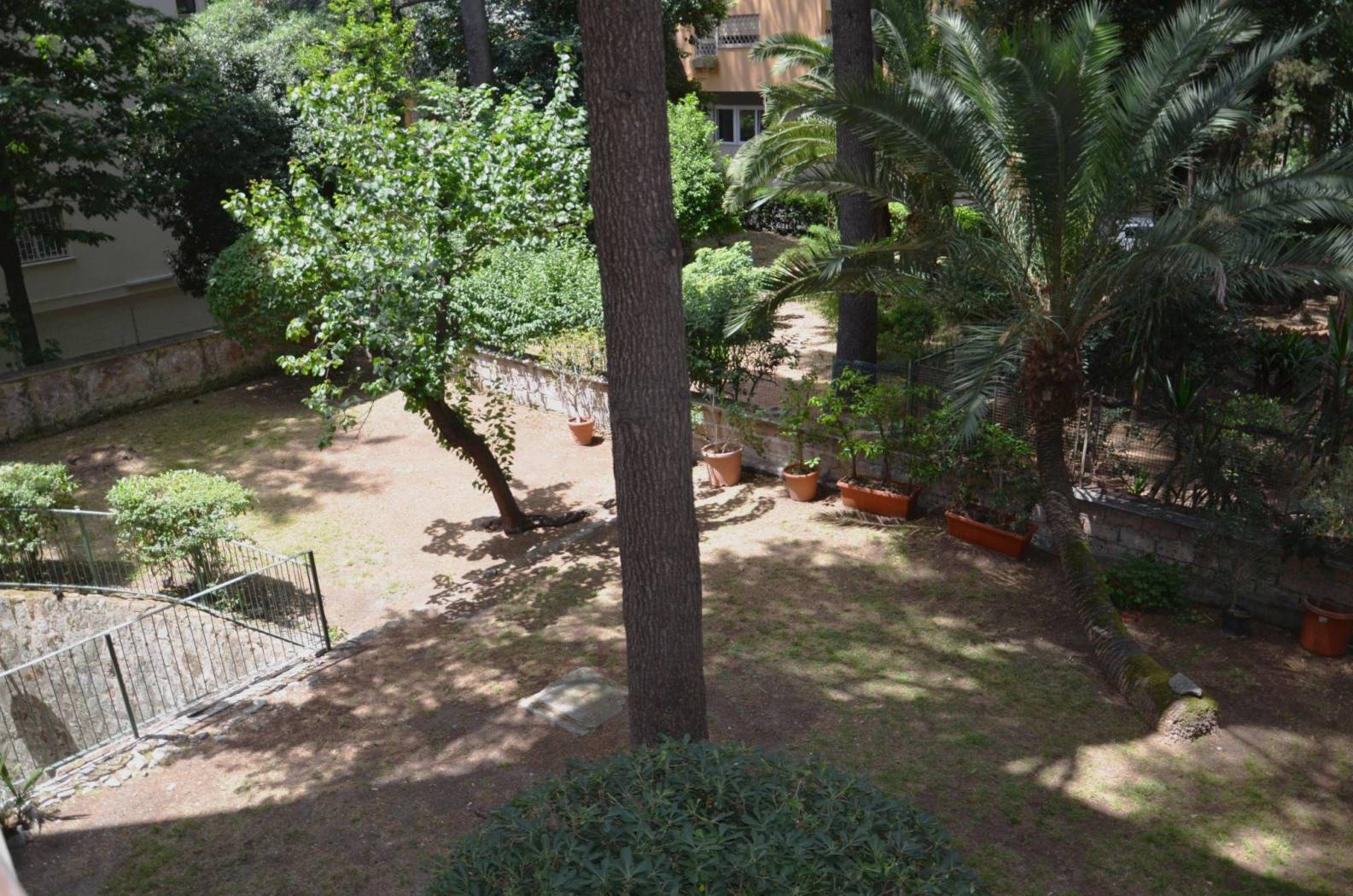 Giardino