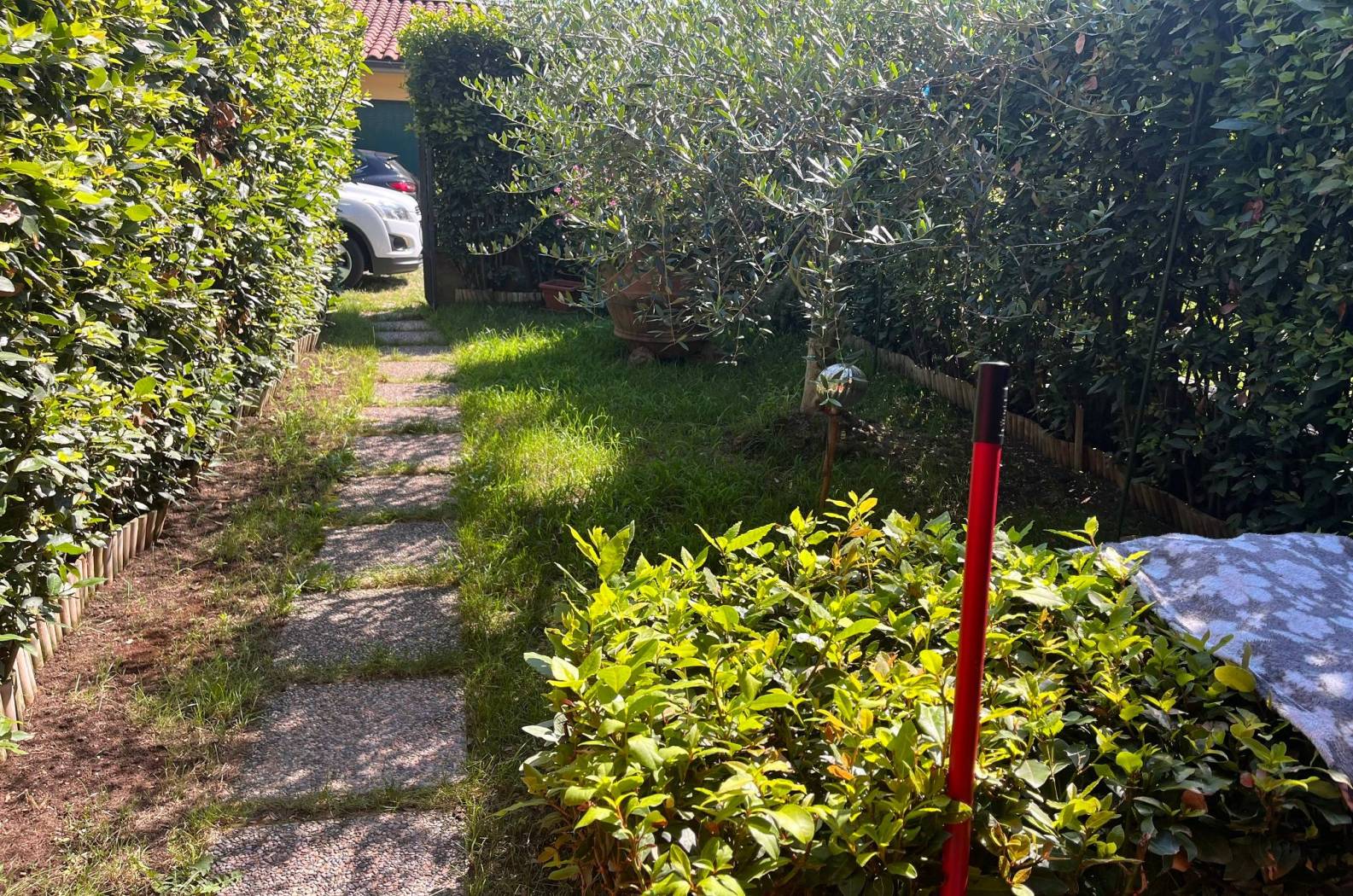 Giardino