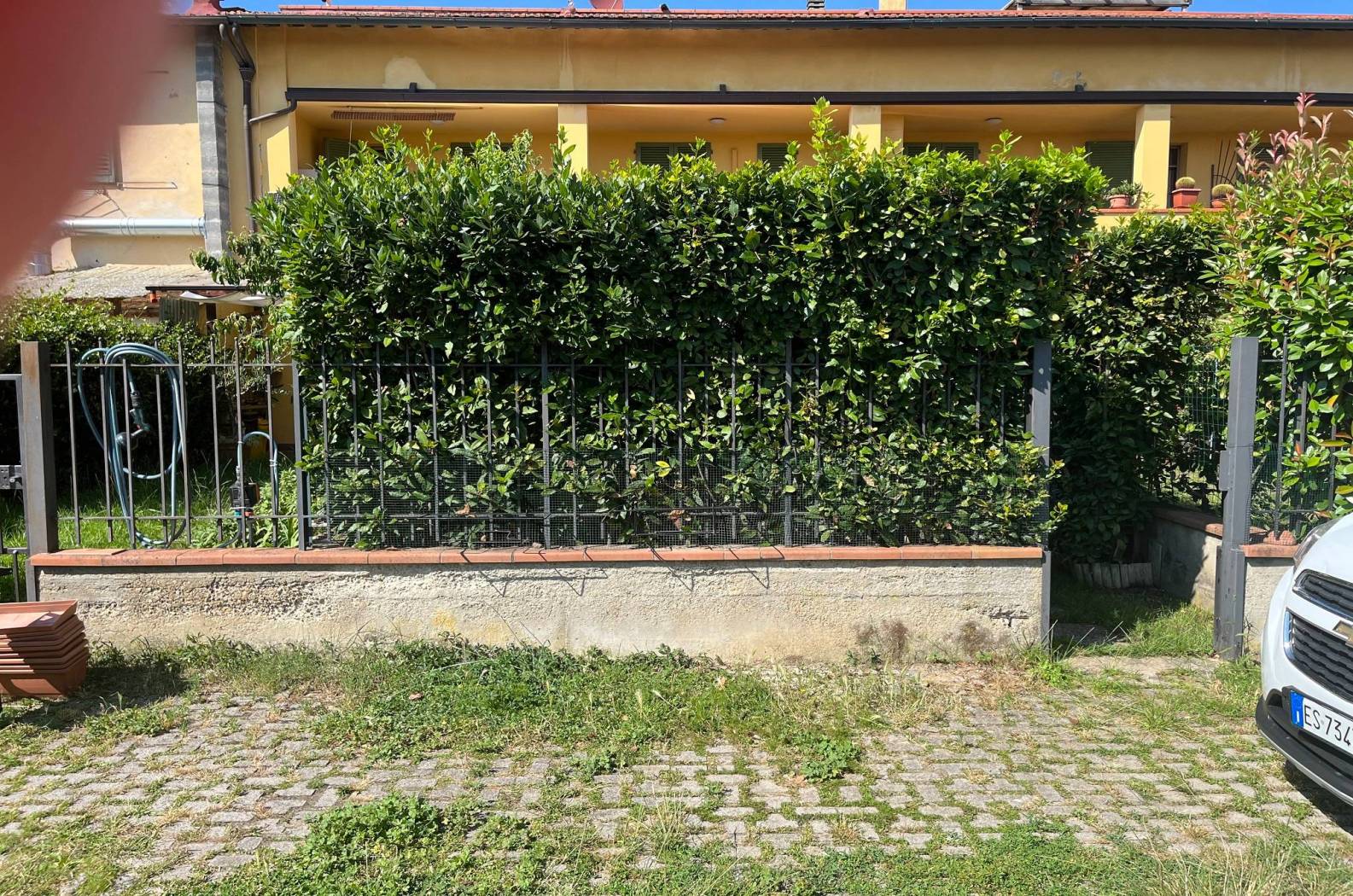 Giardino