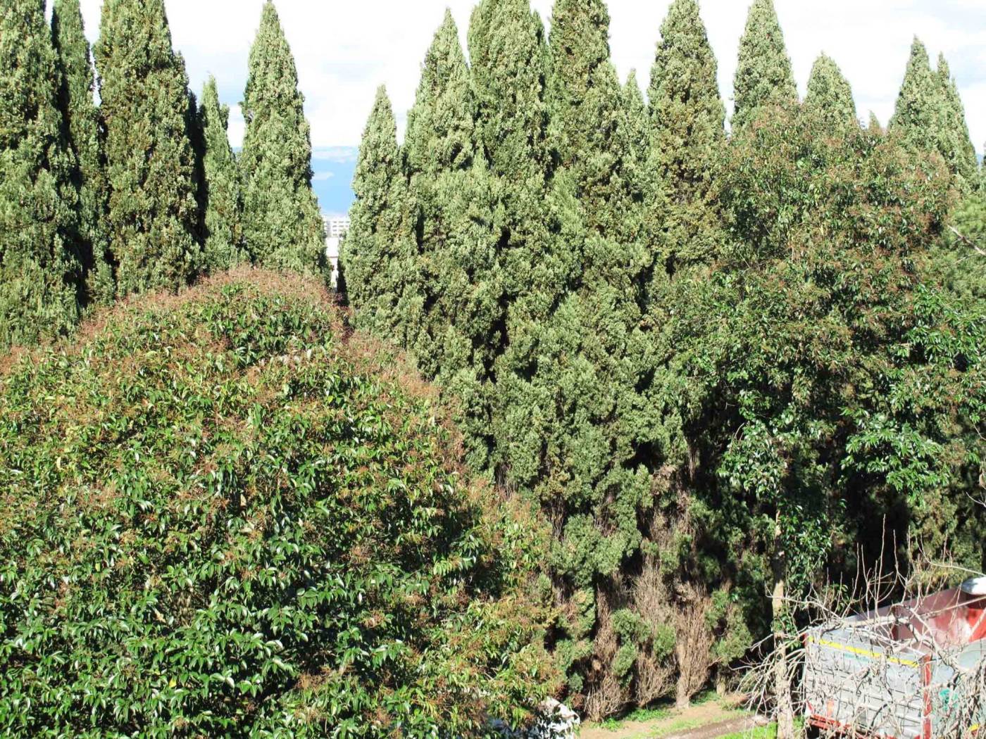 Terreno