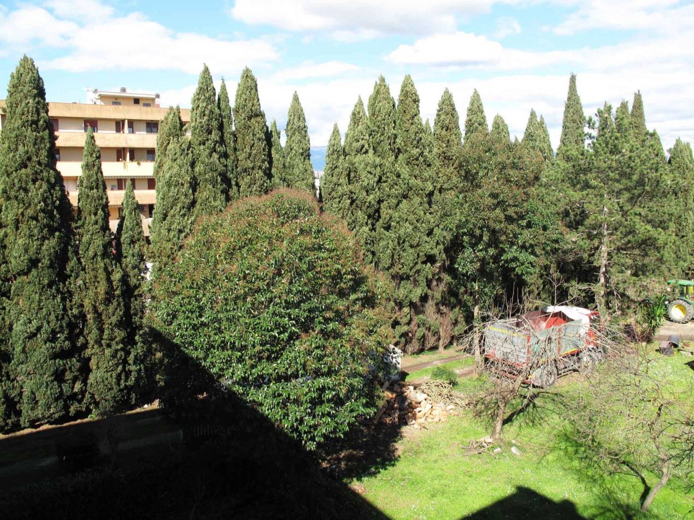 Vista